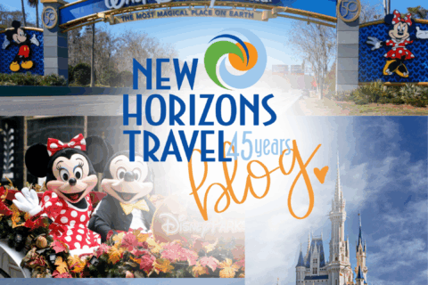 disney world blog
