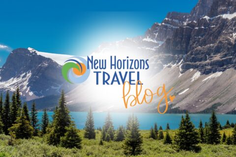 New Horizons Travel Blog
